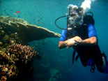 Bali Scuba Dive In Menjangan Island
